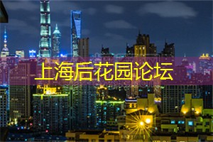 爱上海：你可以将疲惫与压力一扫而空
