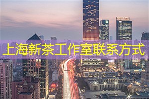 在这里举办的音乐会和花灯展 在这里举办的音乐会和花灯展