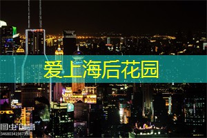 上海品茶工作室：黑色的